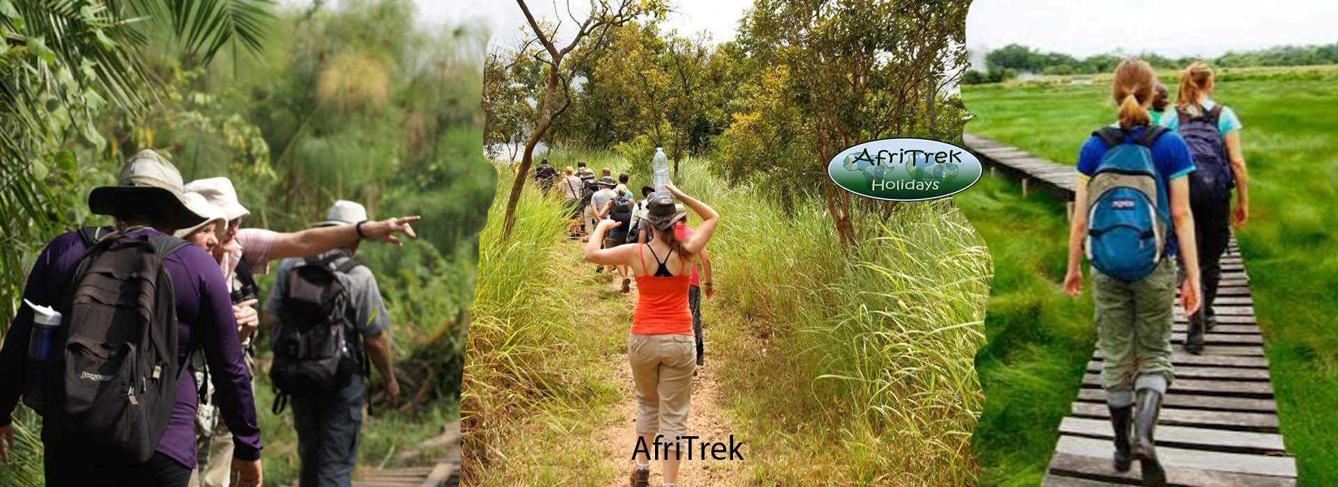 You are currently viewing Nature Walks In Uganda
