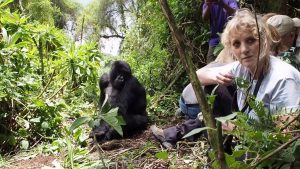 Gorilla Trekking Bwindi - 5 Days Uganda safari