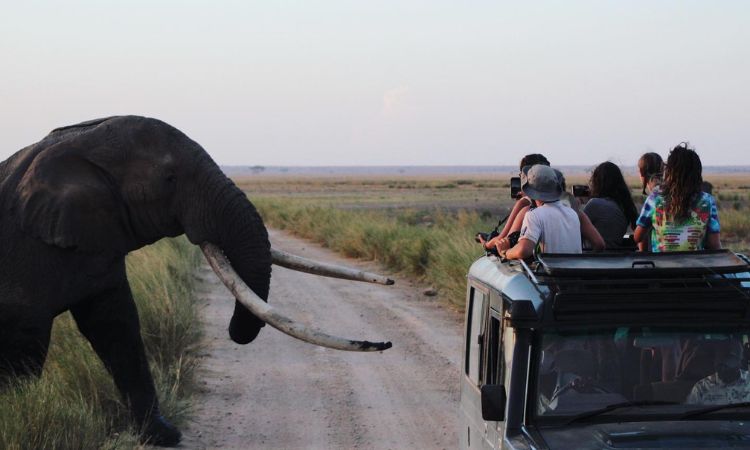 Amboseli national park facts