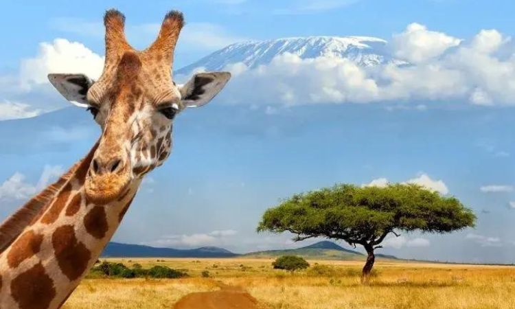Tourist Attractions in Kenya