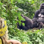 Save Money on Uganda Gorilla Safaris