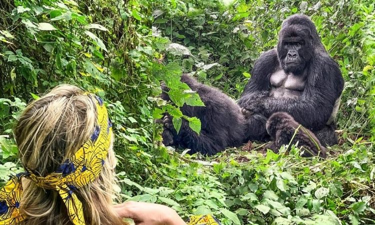 Tips to Save Money on Uganda Gorilla Safaris