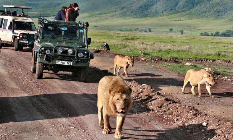 Long Tanzania Safaris