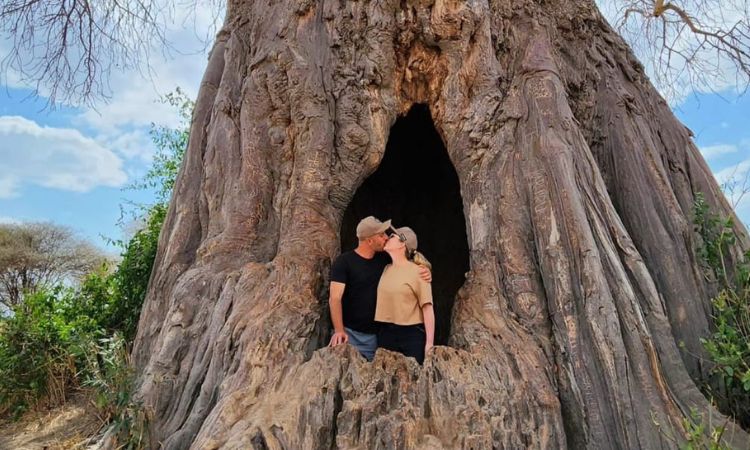 The Poacher’s Hide