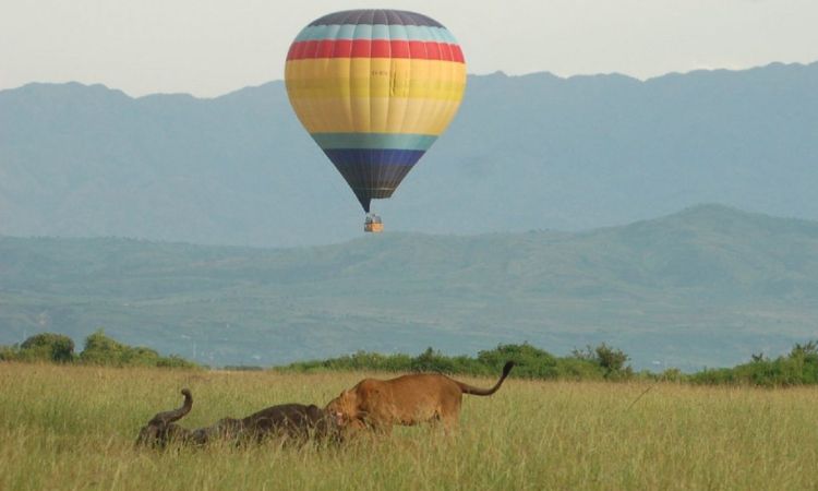 Hot Air Balloon Safaris Queen Elizabeth