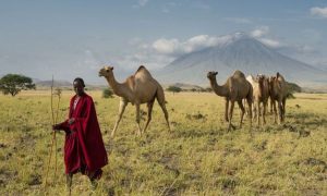 Read more about the article Tourist Destinations in Tanzania