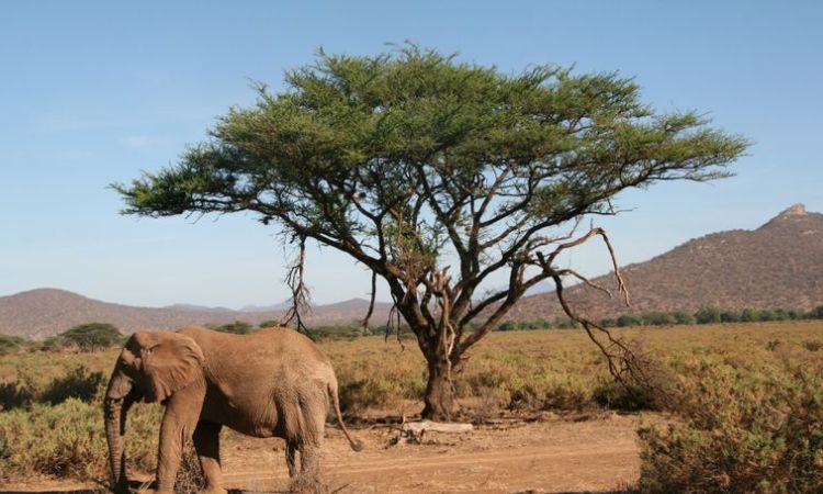 samburu national reserve is in which county