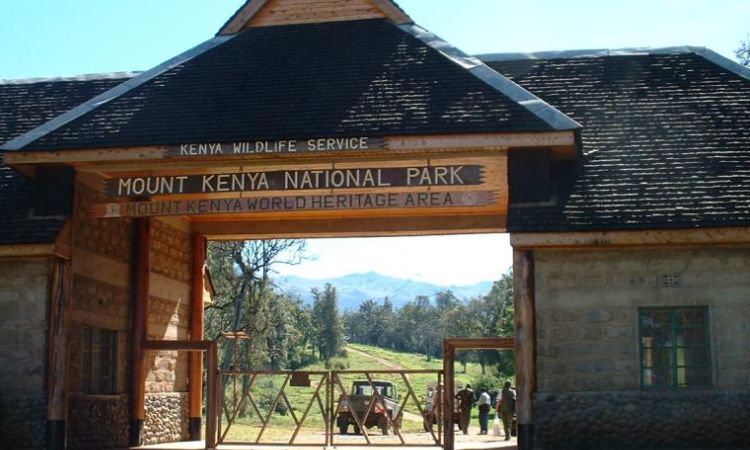 Mount Kenya national park