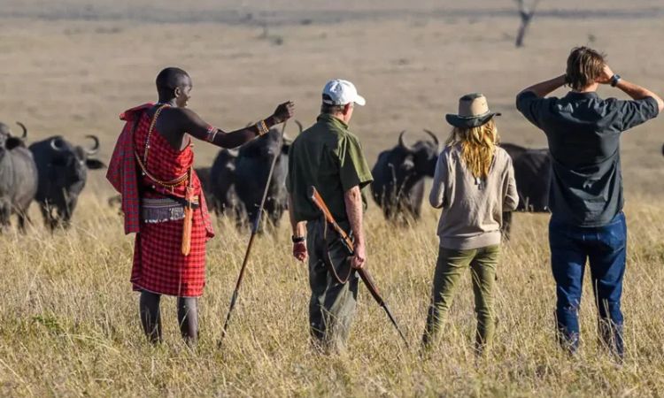 Read more about the article Best time to visit Kenya