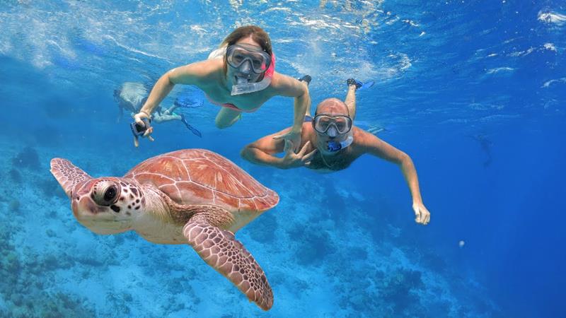 Things to Do in Mombasa Kenya