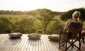 Read more about the article Is Uganda better than Kenya or Tanzania for safaris