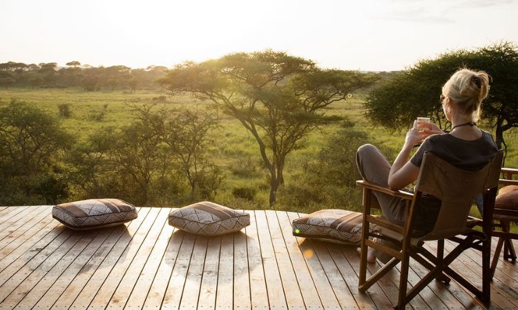 You are currently viewing Is Uganda better than Kenya or Tanzania for safaris