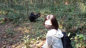 Read more about the article Can Children Do Chimpanzee Tracking