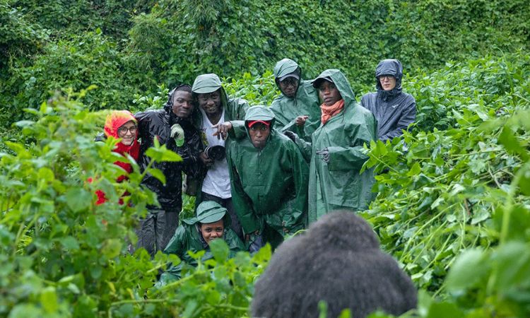 You are currently viewing Which Gorilla Trekking Sector Is Best in Bwindi